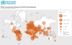 Issue 05 - image option - WHO COVID-19 dashboard