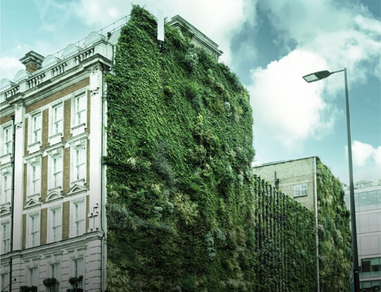 Resources Sustainable MPS Brochure